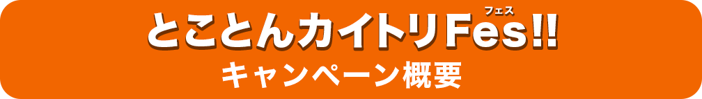 とことんカイトリFes!!キャンペーン概要